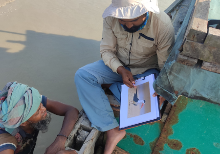 剪嘴鷗越冬地研究監察及提升公眾意識保育項目 Can we still save the globally endangered Indian Skimmer (Rhynchops albicollis) at their last remaining wintering site?